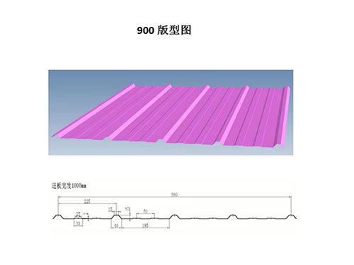 成都NS-900 profile drawing